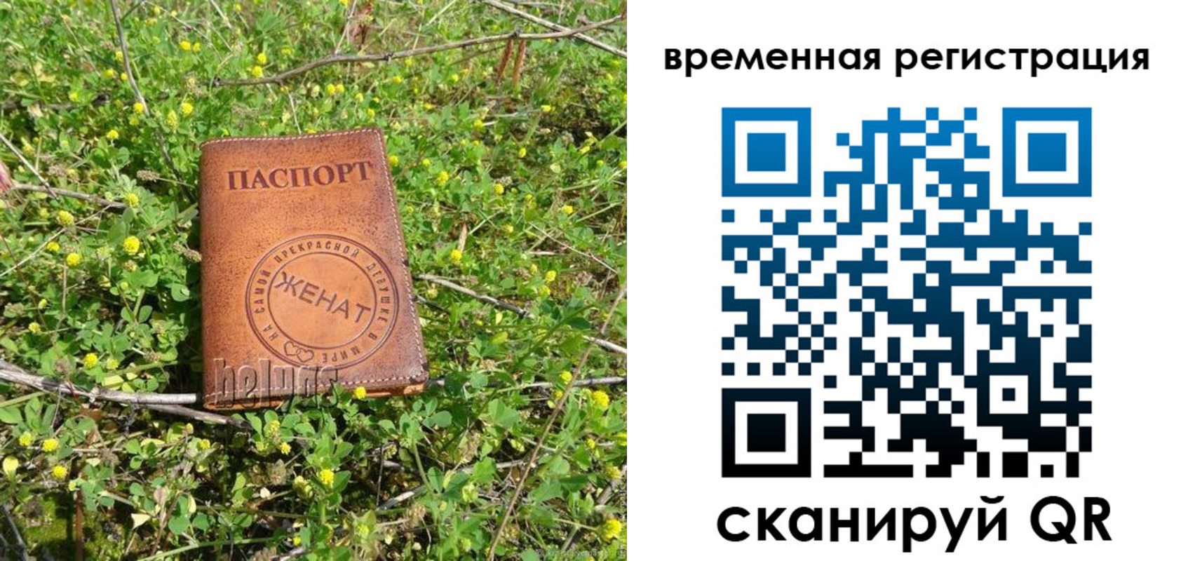 прописка регистрация в Волгограде